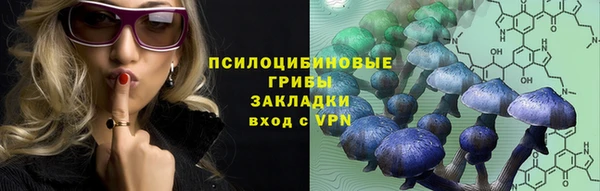 мяу мяу мука Бородино