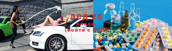 мяу мяу мука Бородино