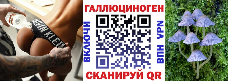 Псилоцибиновые грибы GOLDEN TEACHER  darknet клад  Уфа  закладки 